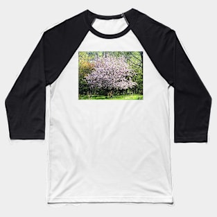 Apple Tree In Blossom Baseball T-Shirt